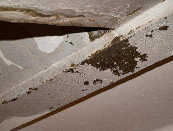 What to Do If You Notice a Roof Leak