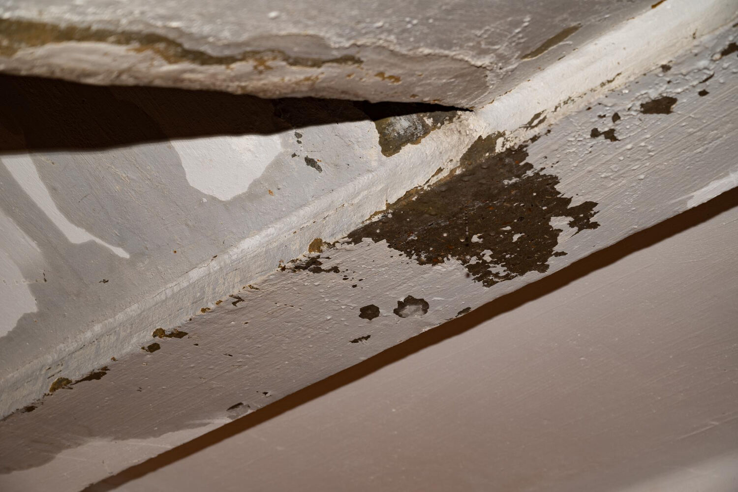 What to Do If You Notice a Roof Leak