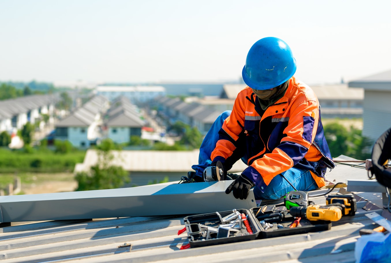 Professional Roofer