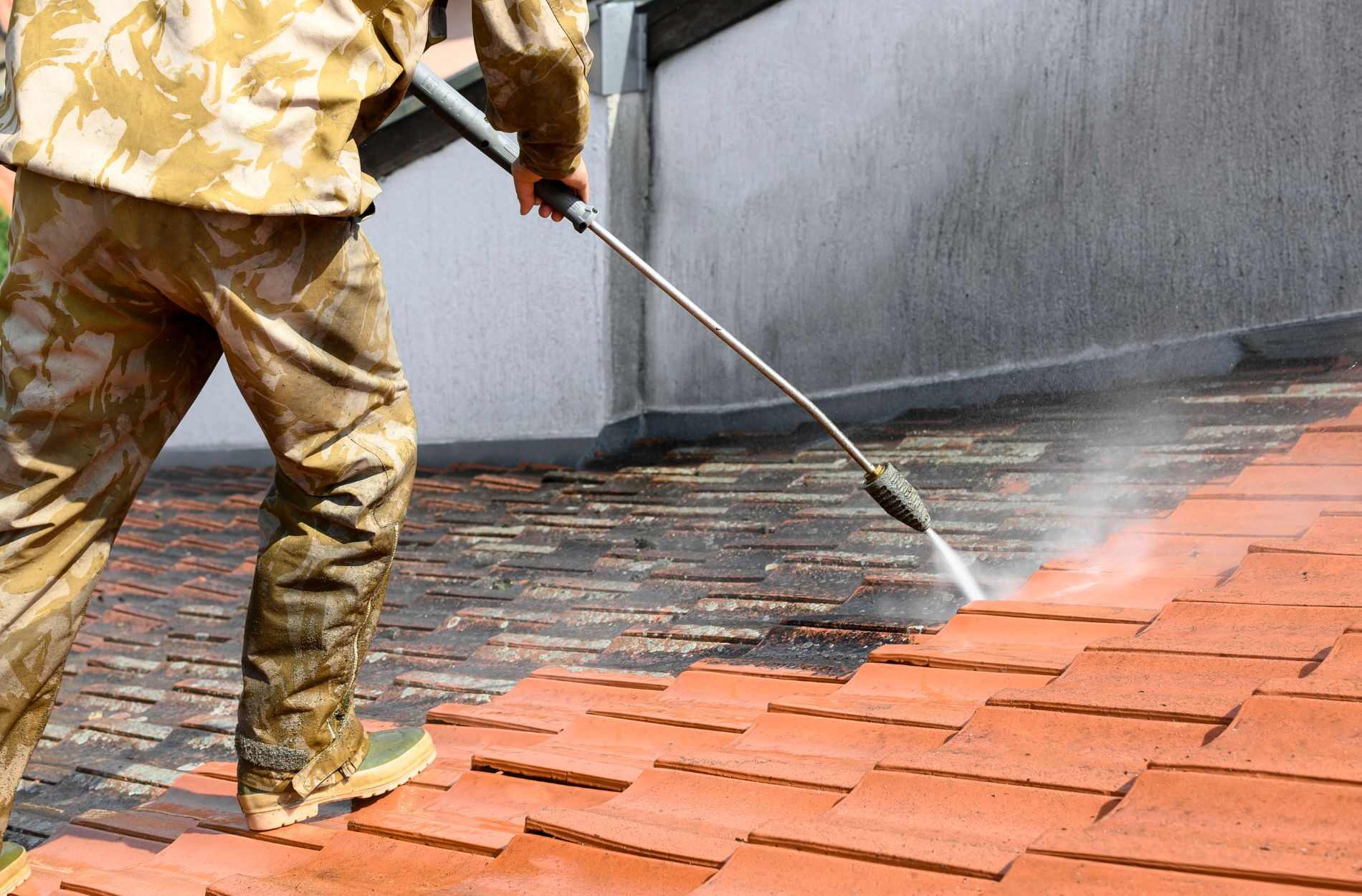 roof cleaning