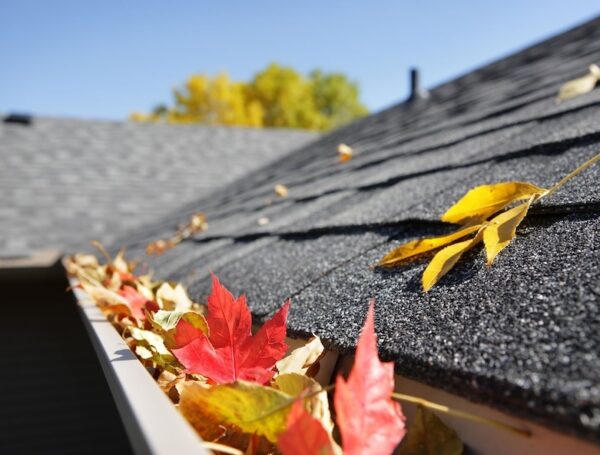 Essential Roof Maintenance Tips for Spring