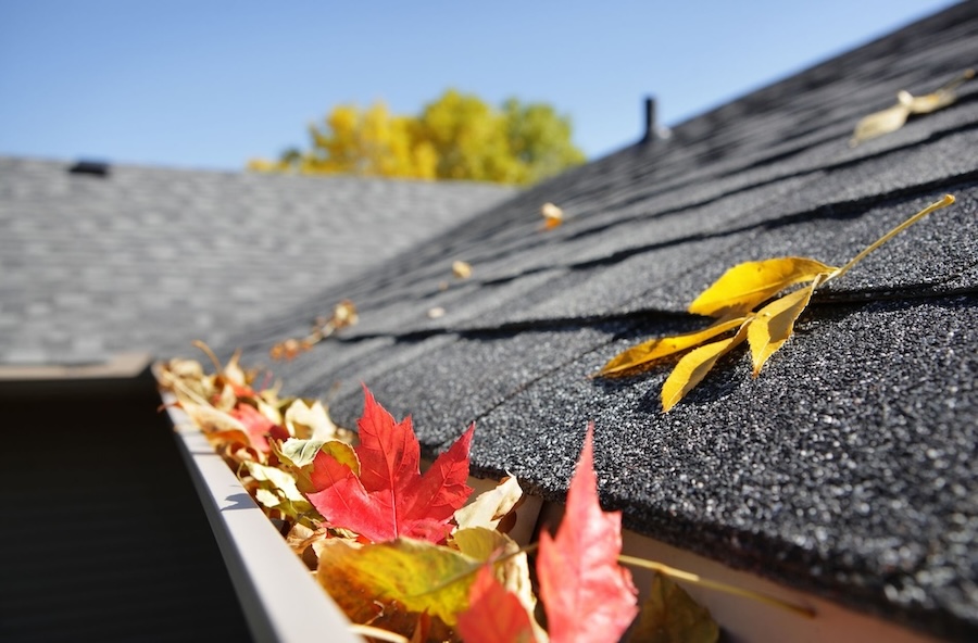 roof maintenance