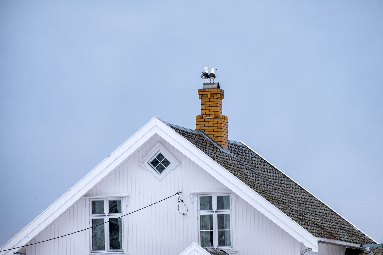 Top Signs Your Roof Needs Immediate Attention