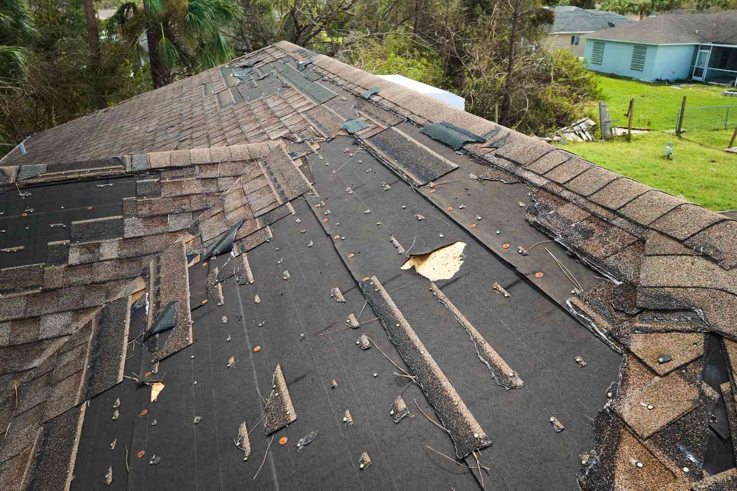 Spot Roof Damage